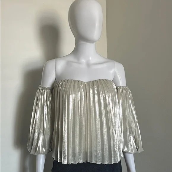 Express, Women’s Size M Metallic Pleated Elegant Off-Shoulder Ballon Top - Picture 1 of 7